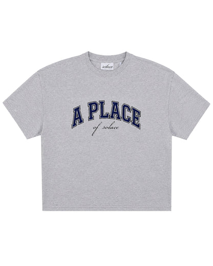academy tee - heather/midnight